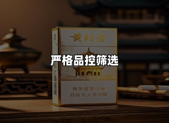 专业优势